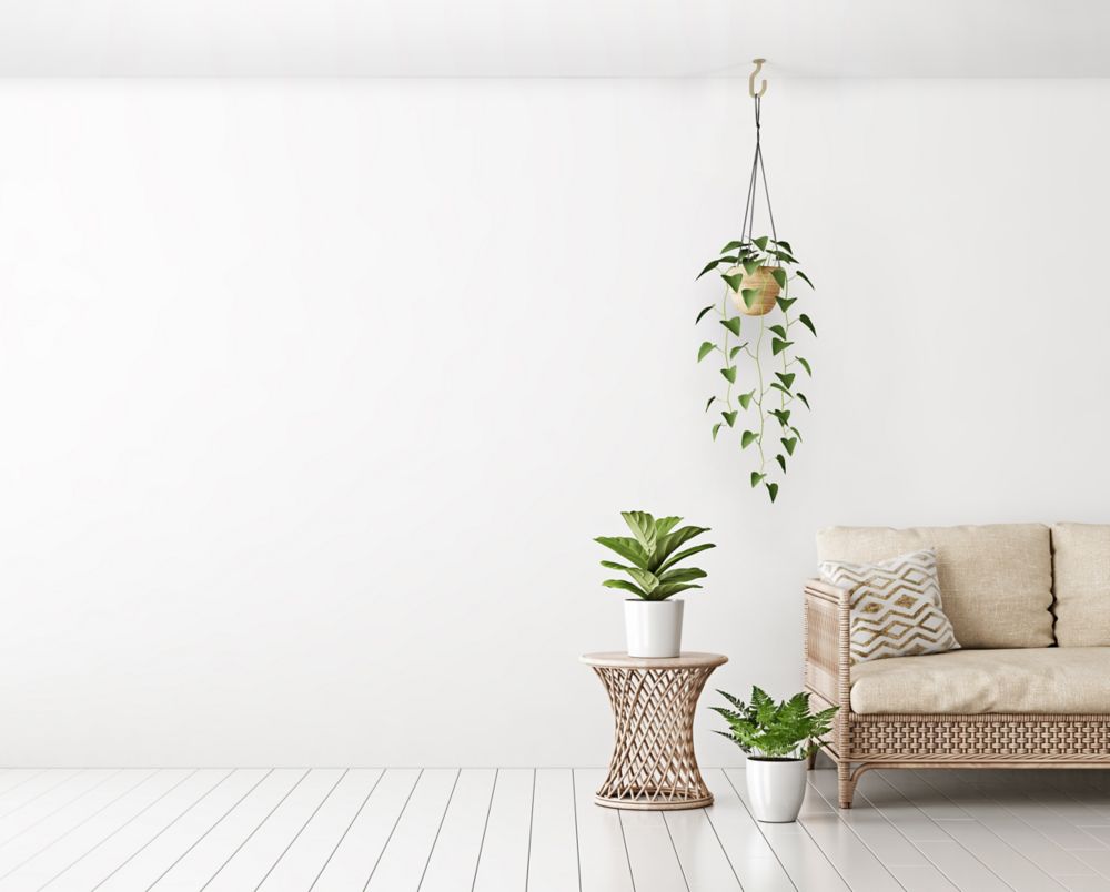Modern Ceiling J Hook - Multiple Finishes - Sold Individually