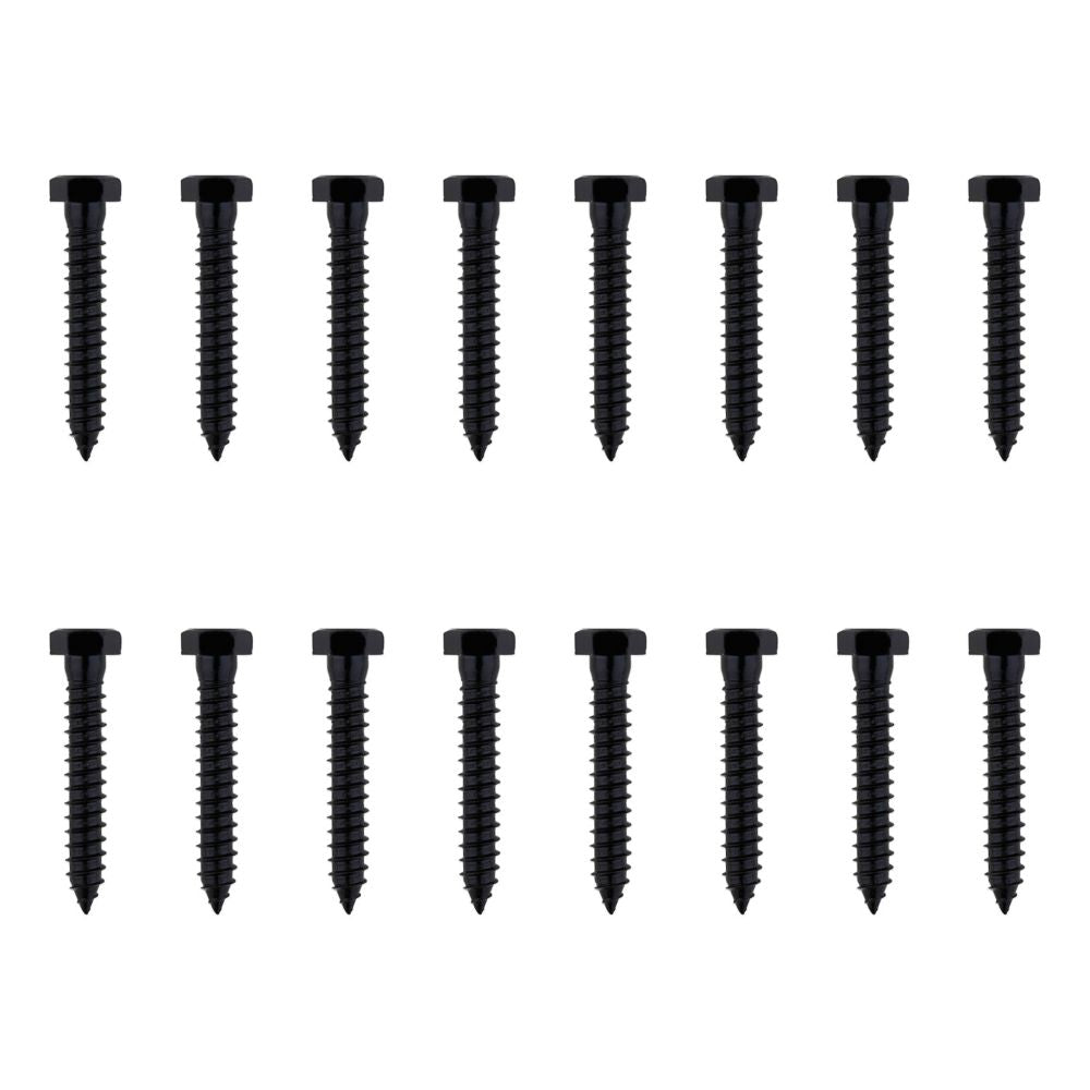 Black Lag Screws - Multiple Sizes Available