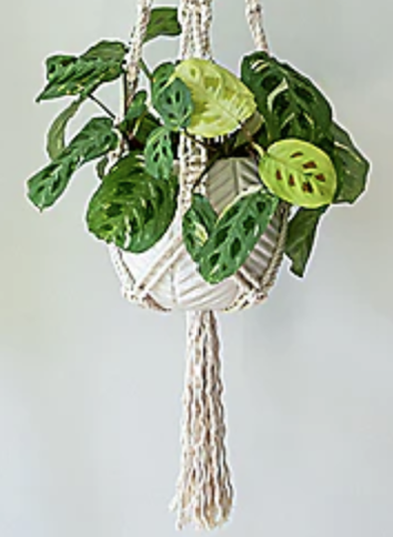 Macrame Plant Hangers: The Easiest DIY Guide