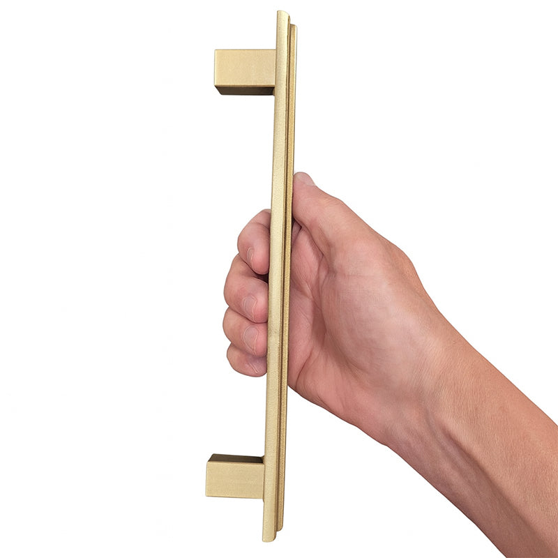 Modern Contemporary Door Pull Handle with Accent Strip and Finger Pull Set - For Sliding Barn Door