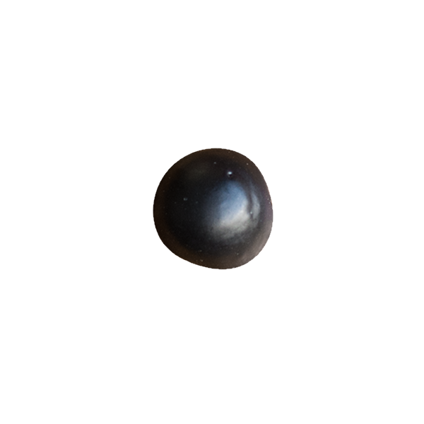 Rustic Round Clavos - Multiple Sizes and Finishes Available - Sold Individually