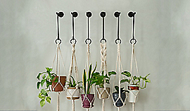 Modern S Hook Large