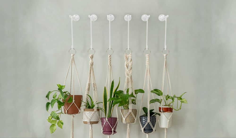 Modern S Hook Large - Multiple Finishes - Sold Individually