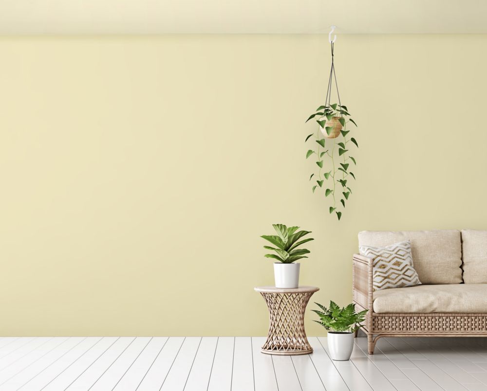 Modern Ceiling J Hook - Multiple Finishes - Sold Individually