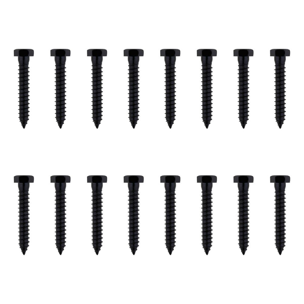 Black Lag Screws - Multiple Sizes Available