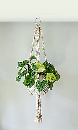 Plant Hanger Hardware Kit