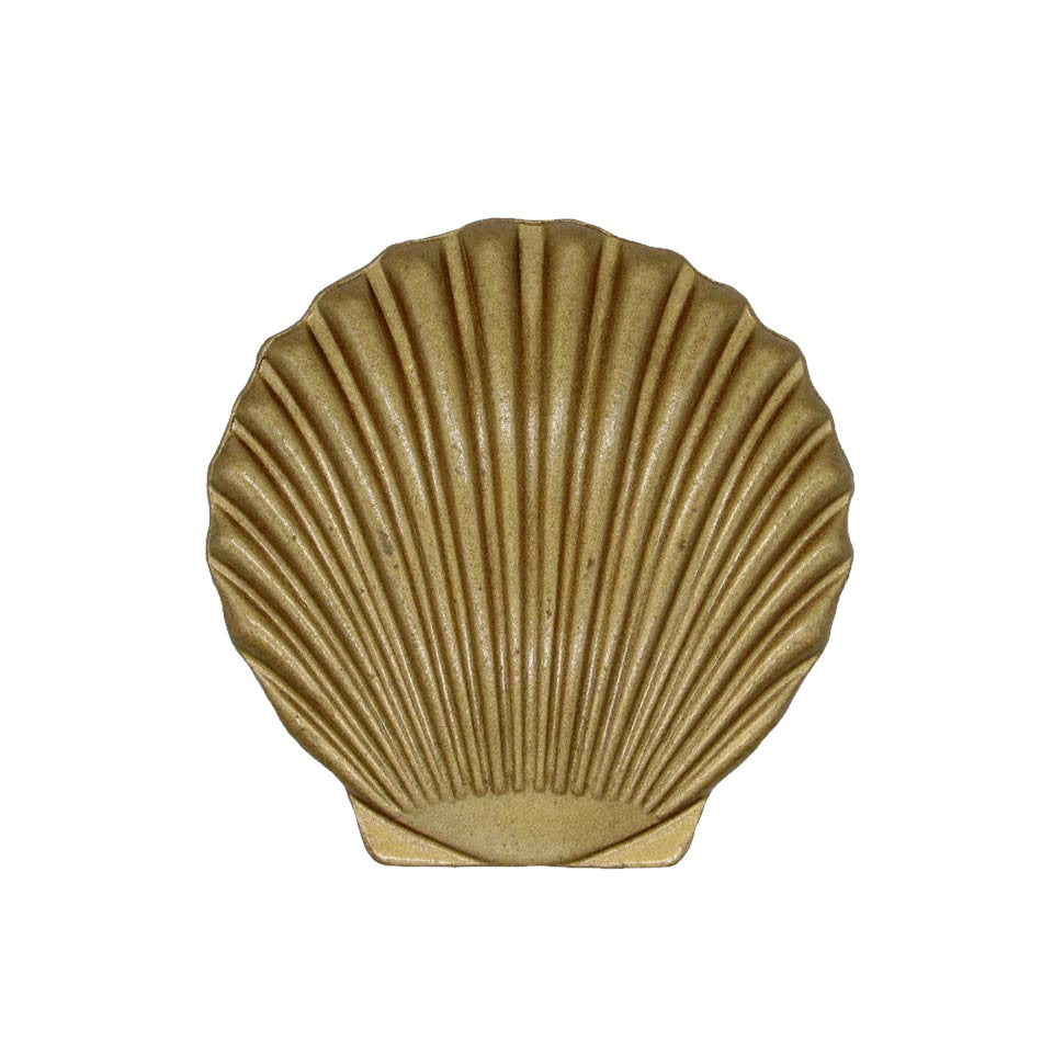 Cabinet Knobs - Rustic Tropical Coastal Scallop Seashell - Lux Gold