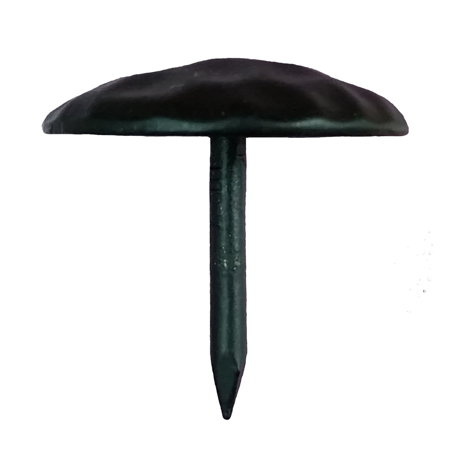Premium, 1" diameter round clavos in matte black powder coat finish, side view - Wild West Hardware