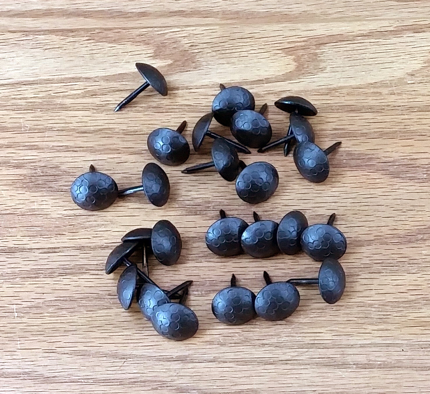 Round Clavos - 3/4" dia. Distressed - Matte Bronze (25 pack) - Wild West Hardware